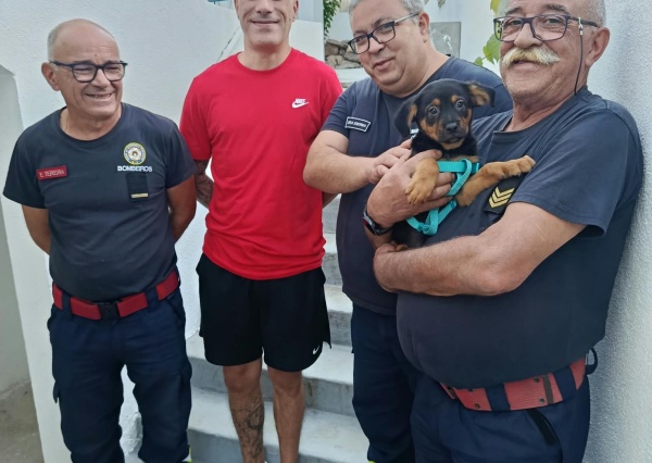 STROB: O CÃO QUE ILUMINA O QUARTEL