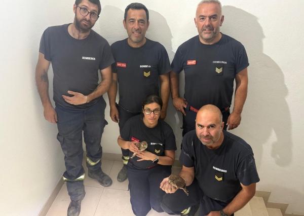 Nem só de incêndios se faz a missão dos Bombeiros.