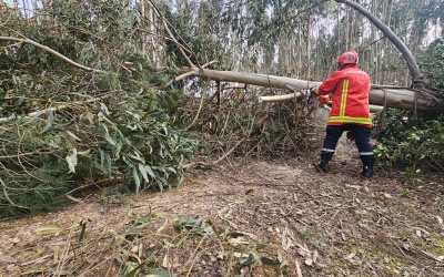 União sem fronteiras: Cooperação Luso-Francesa no apoio pós-tempestade
