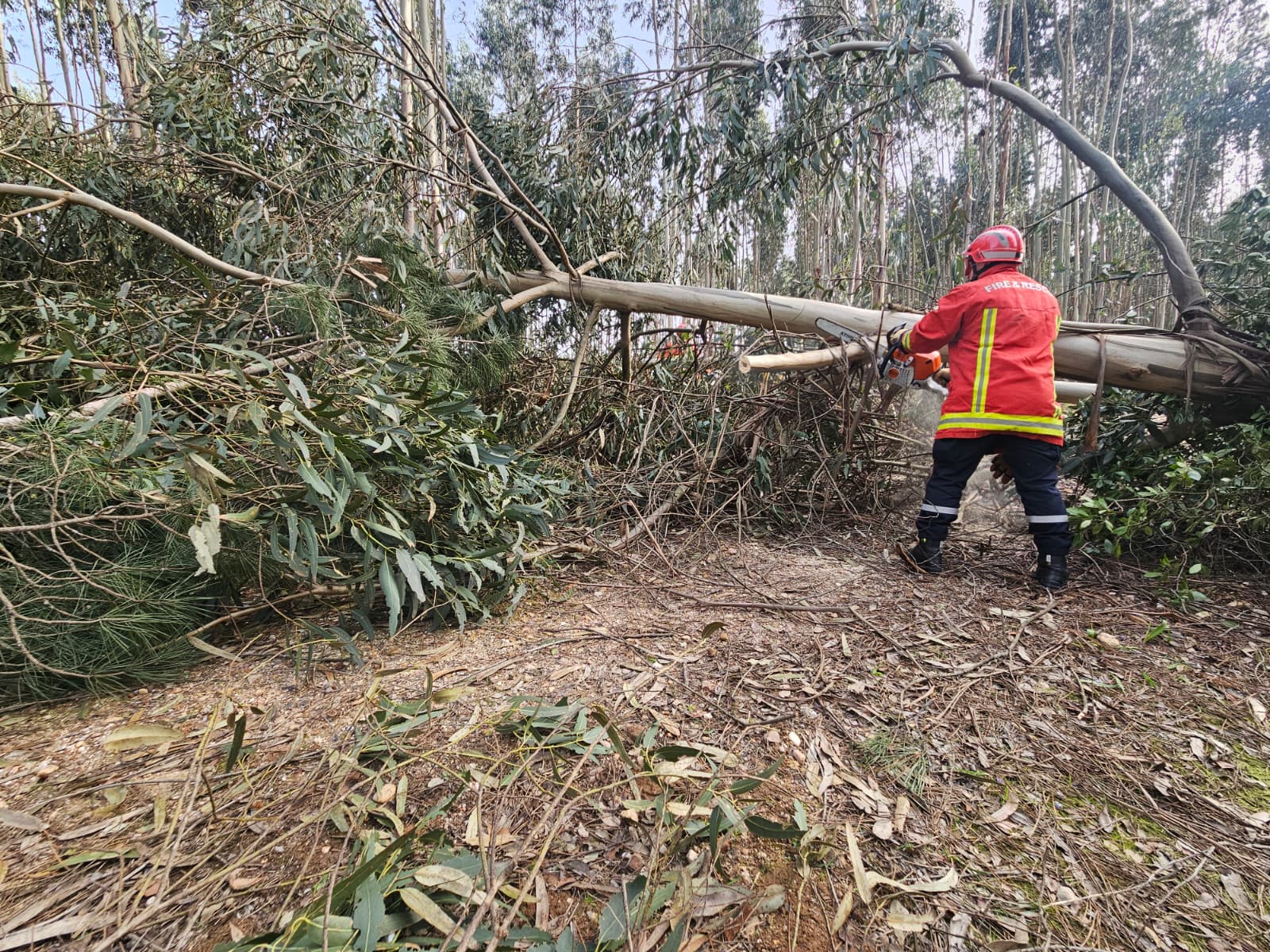 WhatsAppeee Image 2026 03 03 at 21.17.59