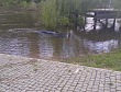 IMG 20250422 WA0015